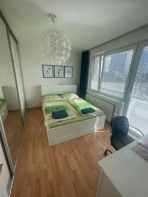 Park View City Center Location Apartment with Balcony
